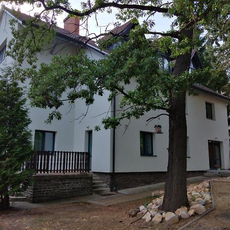 玛塔弗瑞德Diana Panzio住宿加早餐旅馆 外观 照片