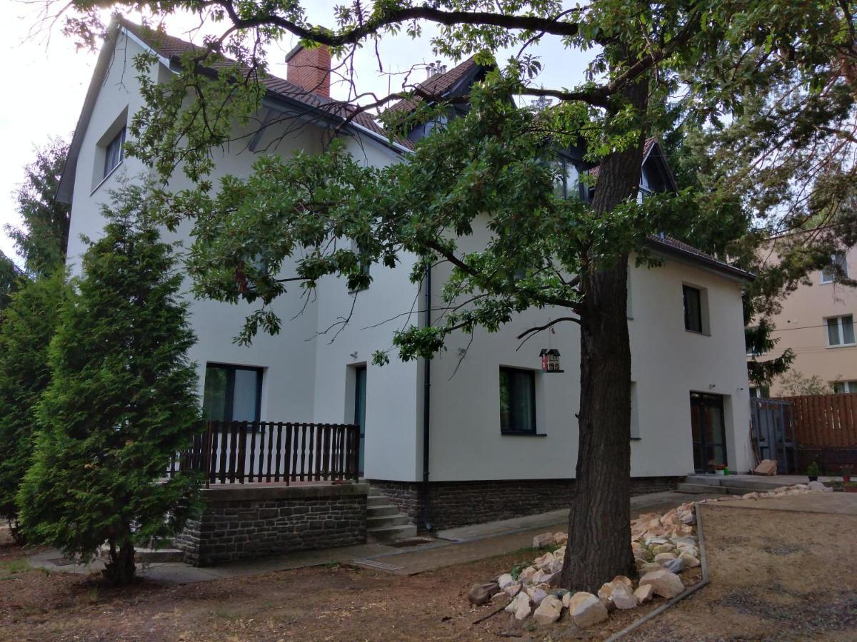 玛塔弗瑞德Diana Panzio住宿加早餐旅馆 外观 照片
