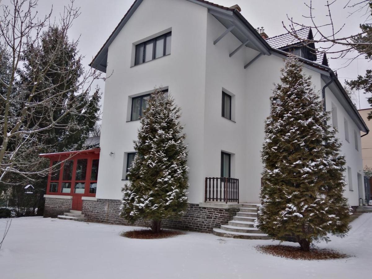 玛塔弗瑞德Diana Panzio住宿加早餐旅馆 外观 照片
