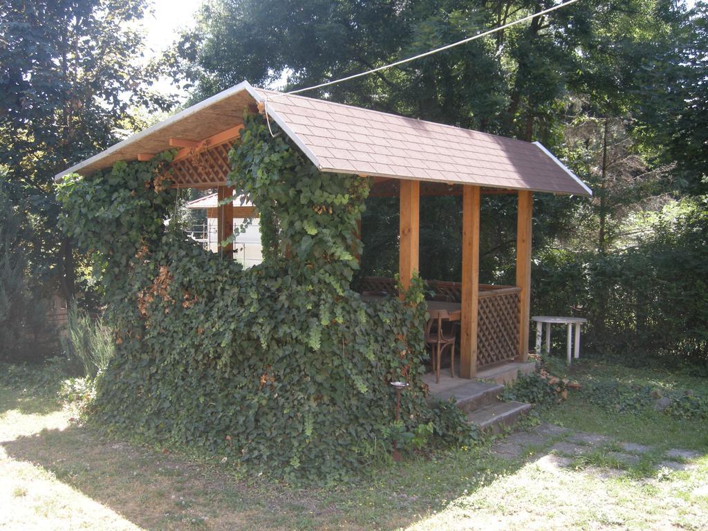 玛塔弗瑞德Diana Panzio住宿加早餐旅馆 外观 照片